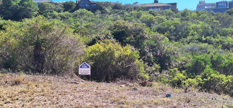 0 Bedroom Property for Sale in Groot Brakrivier Central Western Cape
